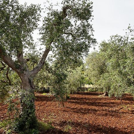 Villetta Da Zio Marcello Ostuni Kültér fotó